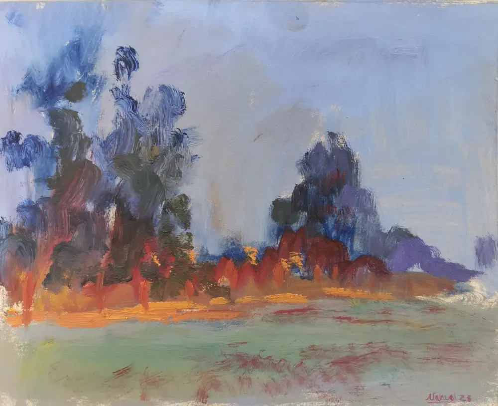 Anochecer en el parque de Nahuel Vera