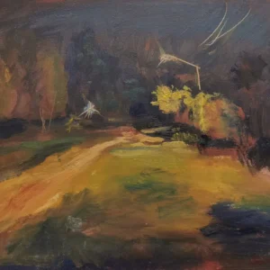 Caminito de tierra en la noche de Nahuel Vera