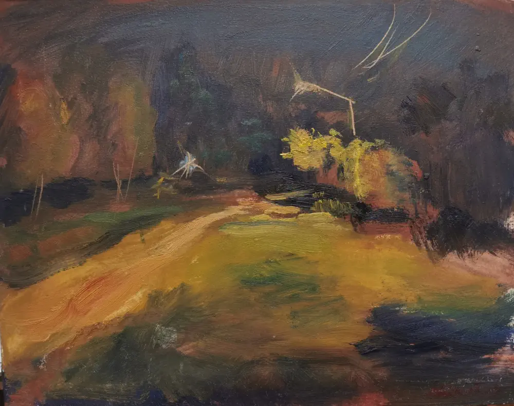 Caminito de tierra en la noche de Nahuel Vera