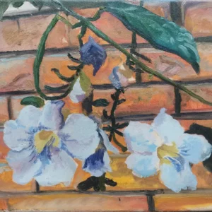 Campanas claras de Nahuel Vera