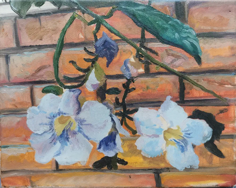 Campanas claras de Nahuel Vera