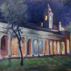 Catedral de Villarrica de Nahuel Vera