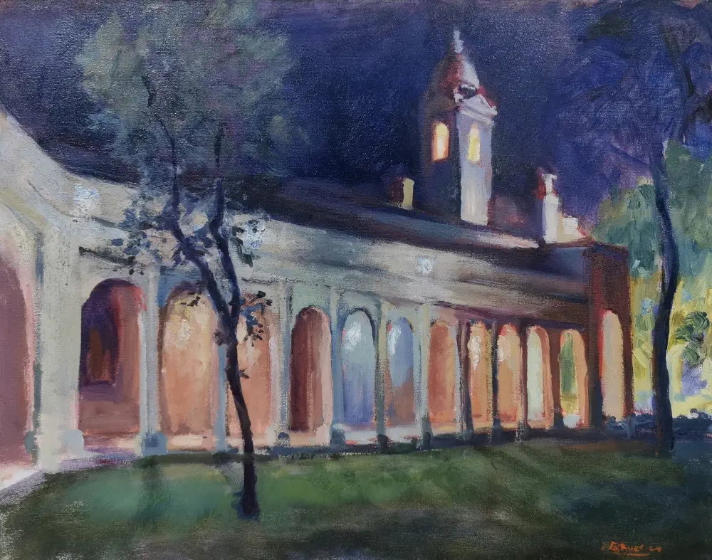 Catedral de Villarrica de Nahuel Vera