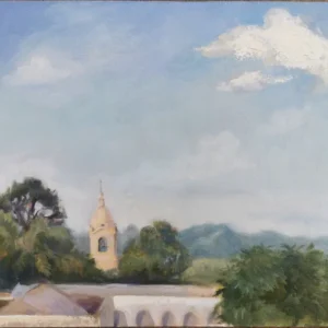 Cúpula entre arboles de Nahuel Vera