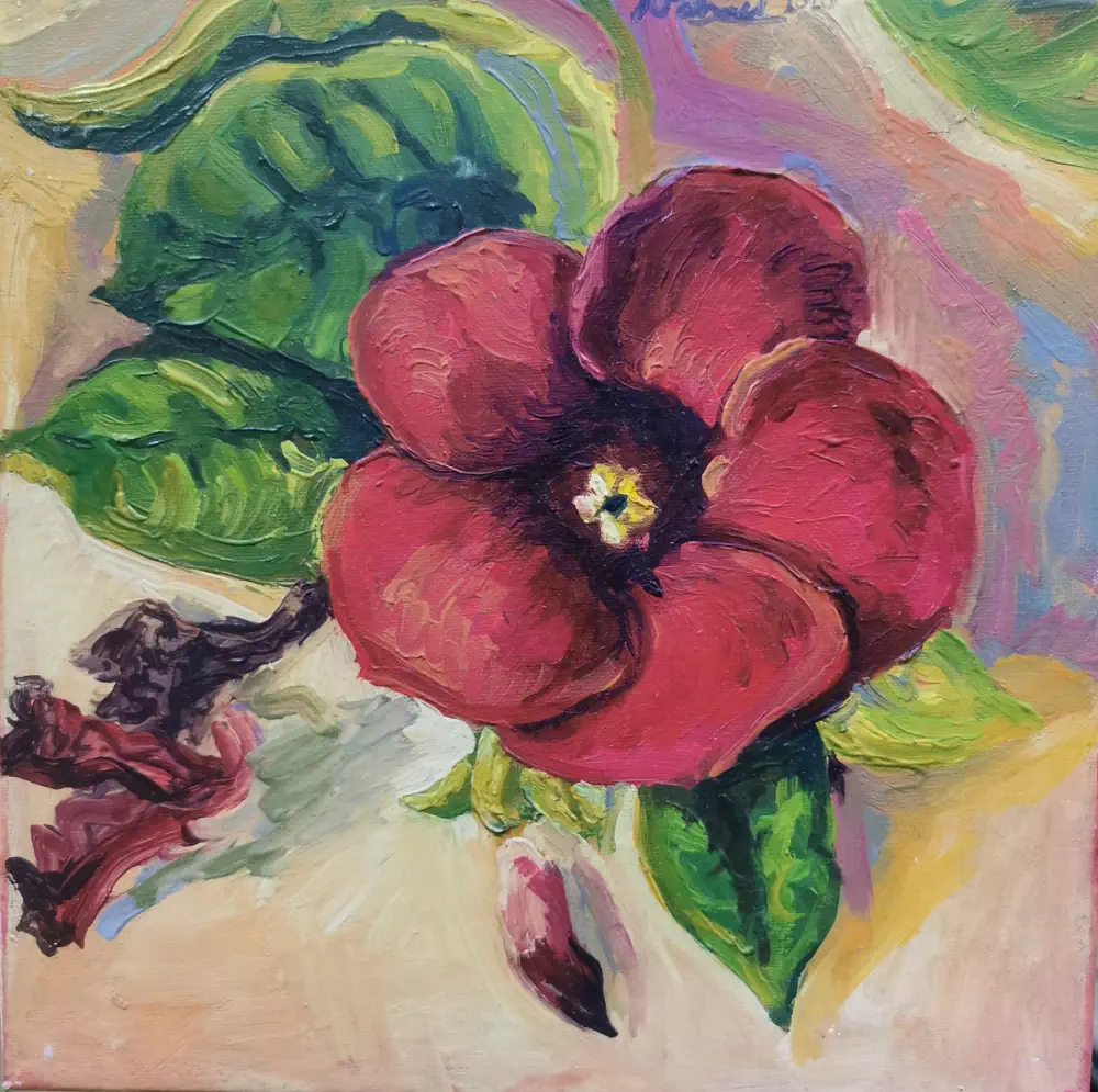 El ojo de una flor que me mira de Nahuel Vera