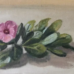 Flor Solitaria I de Nahuel Vera