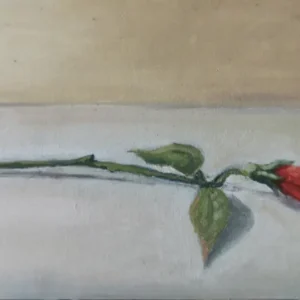 Flor Solitaria II de Nahuel Vera