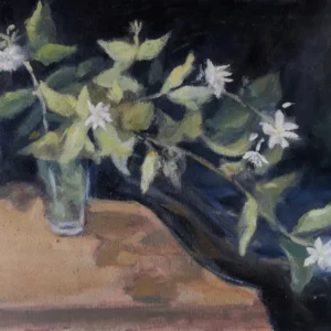 Jazmines de Nahuel Vera