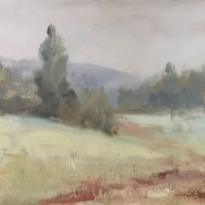 Neblina matinal de Nahuel Vera