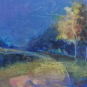 Noche en el parque de Nahuel Vera