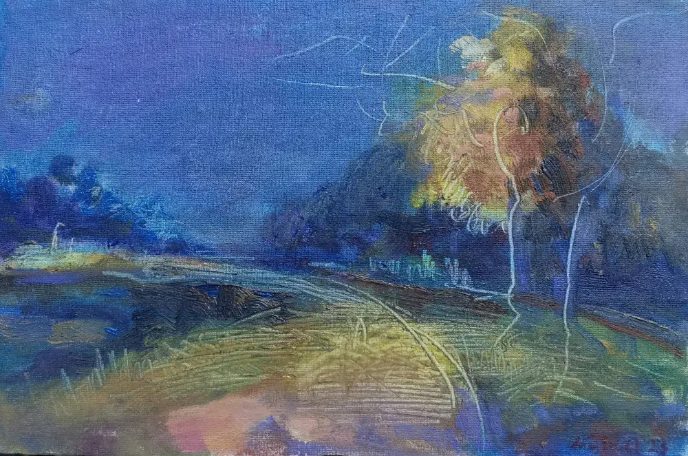 Noche en el parque de Nahuel Vera