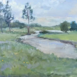 Reflejos de plata (Lembucity) de Nahuel Vera