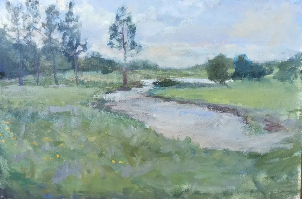 Reflejos de plata (Lembucity) de Nahuel Vera