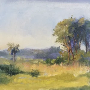 Tarde en lo de un amigo de Nahuel Vera