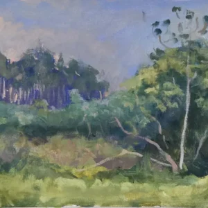 Tarde púrpura de Nahuel Vera