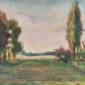 Vista con noria de fondo de Nahuel Vera