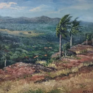 Yvyty añuã de Nahuel Vera