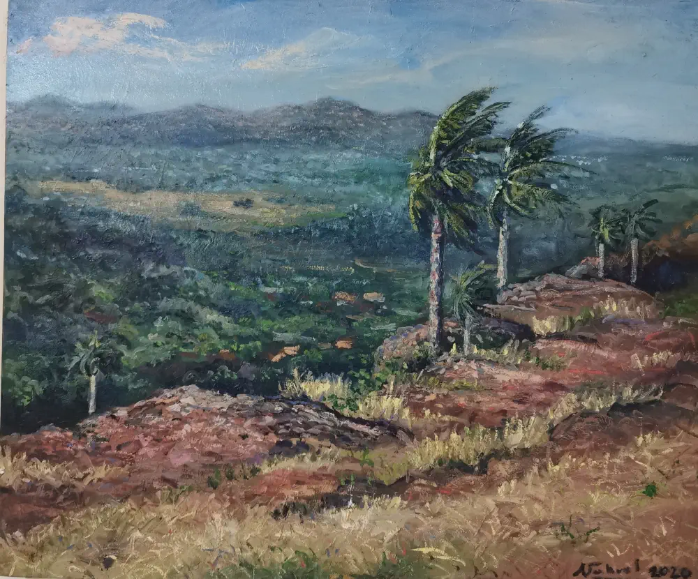 Yvyty añuã de Nahuel Vera